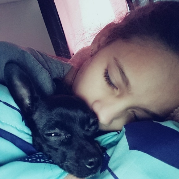 Meet your Posher, Dasha - Picture 2 of 4